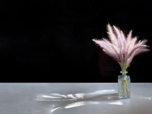 Taking a Mindful Look at Gratitude